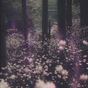 Meet your Posher, Ale